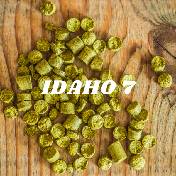 Idaho 7