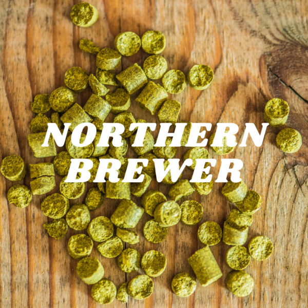 Northern Brewer