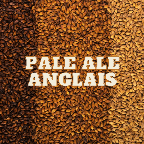 Pale Ale Anglais Innomalt